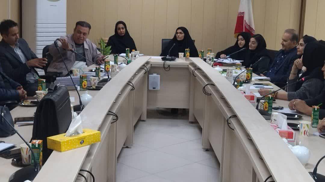 جلسه هماهنگی نمایندگی‌های بیمه دانا و شرکت ایرانیان پوشش با حضور مدیر استان البرز و با هدف ارتقای خد...