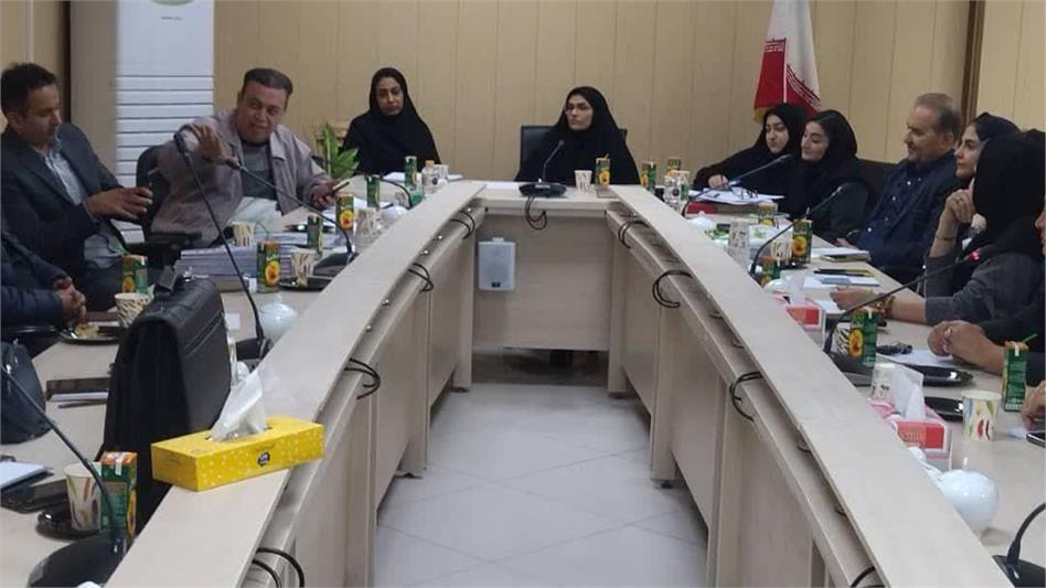 جلسه هماهنگی نمایندگی‌های بیمه دانا و شرکت ایرانیان پوشش با حضور مدیر استان البرز و با هدف ارتقای خدمات به بازنشستگان برگزار